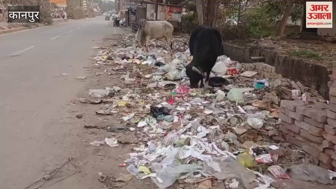 Kanpur: Garbage is piled up and spread across the road lane near Patrakar Puram