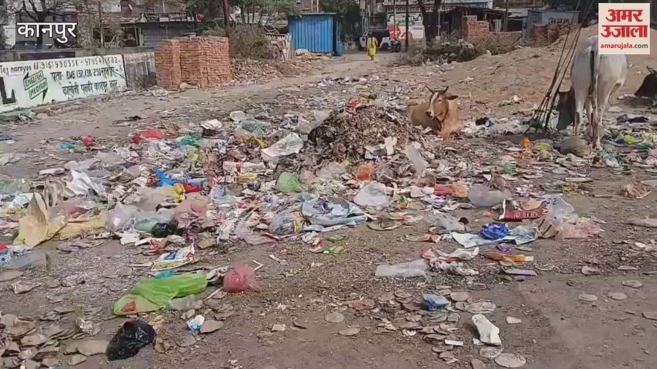 Kanpur: Filth and garbage everywhere, causing problems for residents