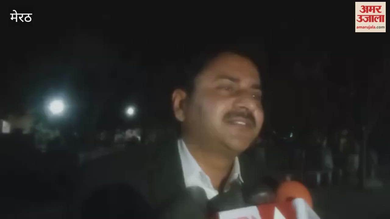 Meerut: Anjali Aroras Boyfriend Arrested in Meerut for Using Fake MP Pass on Car
