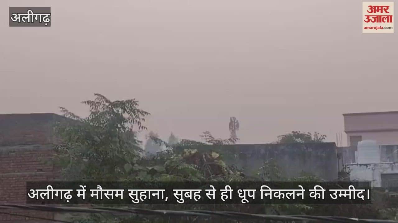 अलीगढ़ में मौसम सुहाना, सुबह से ही धूप निकलने की उम्मीद