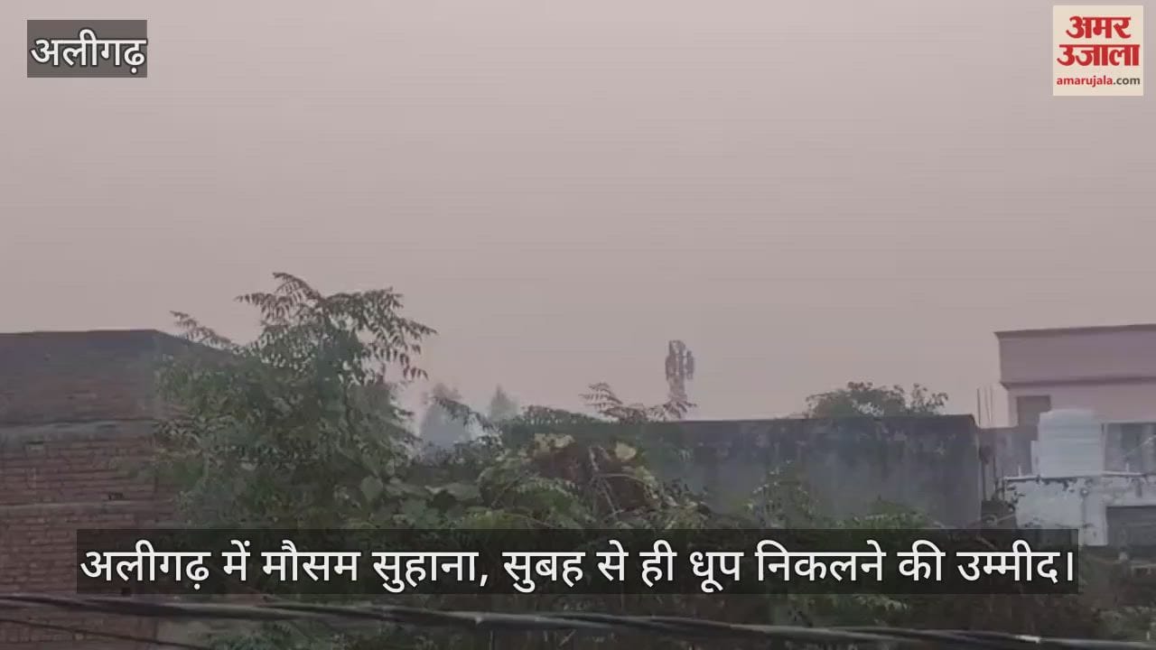 अलीगढ़ में मौसम सुहाना, सुबह से ही धूप निकलने की उम्मीद