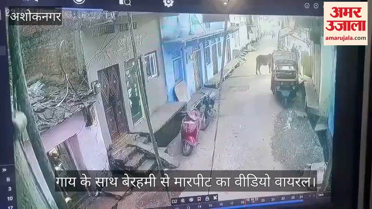Ashoknagar News: Inhumanity crosses limits as video of brutal assault on cow goes viral, accused held