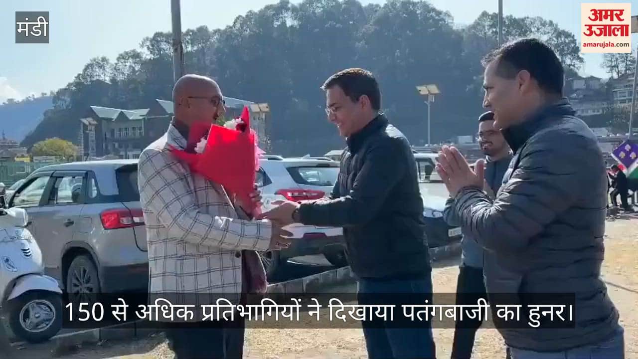 More than 150 participants showcased their kite-flying skills.