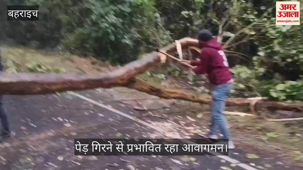 VIDEO: तेज हवाओं संग झमाझम बारिश से ठंड बढ़ी, मिहींपुरवा–कतर्नियाघाट मार्ग पर पेड़ गिरने से प्रभावित रहा आवागमन