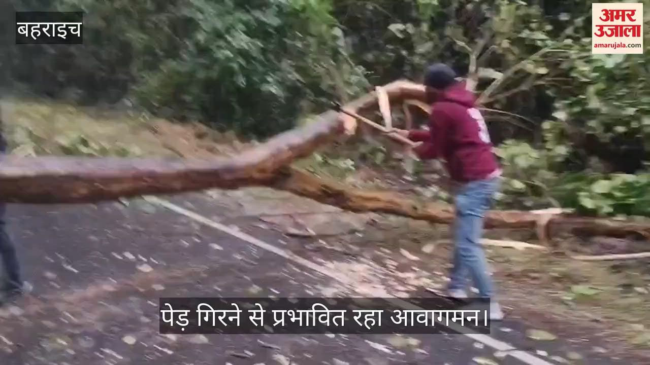 VIDEO: तेज हवाओं संग झमाझम बारिश से ठंड बढ़ी, मिहींपुरवा–कतर्नियाघाट मार्ग पर पेड़ गिरने से प्रभावित रहा आवागमन