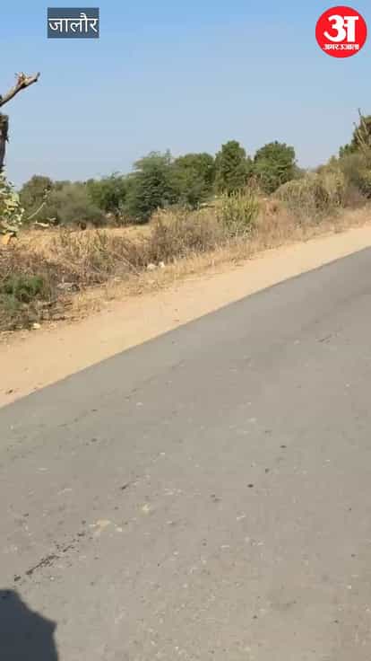 Jalore: Forest department team attacked while trying to stop illegal mining,