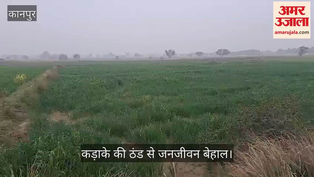 कानपुर: भीतरगांव में बादलों का पहरा, फुहारों ने बढ़ाई ठिठुरन, लगातार तीसरे दिन नहीं खिली धूप