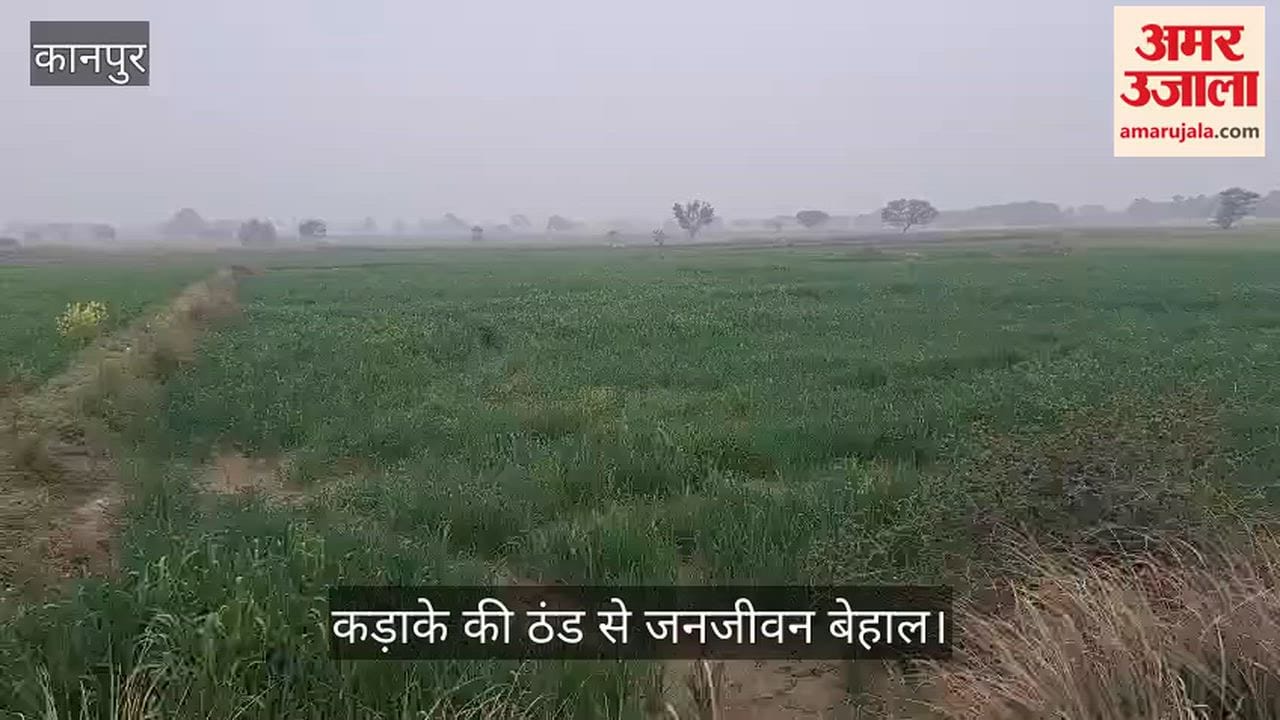 कानपुर: भीतरगांव में बादलों का पहरा, फुहारों ने बढ़ाई ठिठुरन, लगातार तीसरे दिन नहीं खिली धूप