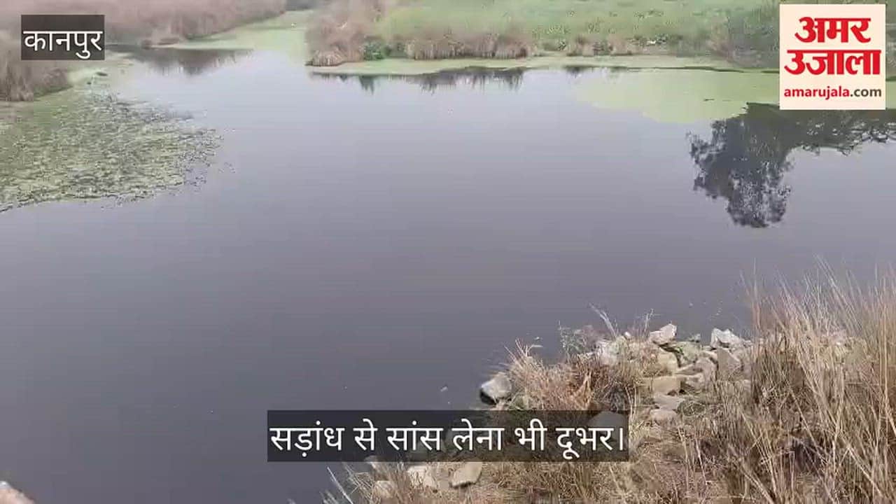 कानपुर: नंदना में तालाब नहीं नरक के बीच रहने को मजबूर ग्रामीण, काला और बदबूदार पानी बना बीमारियों का केंद्र