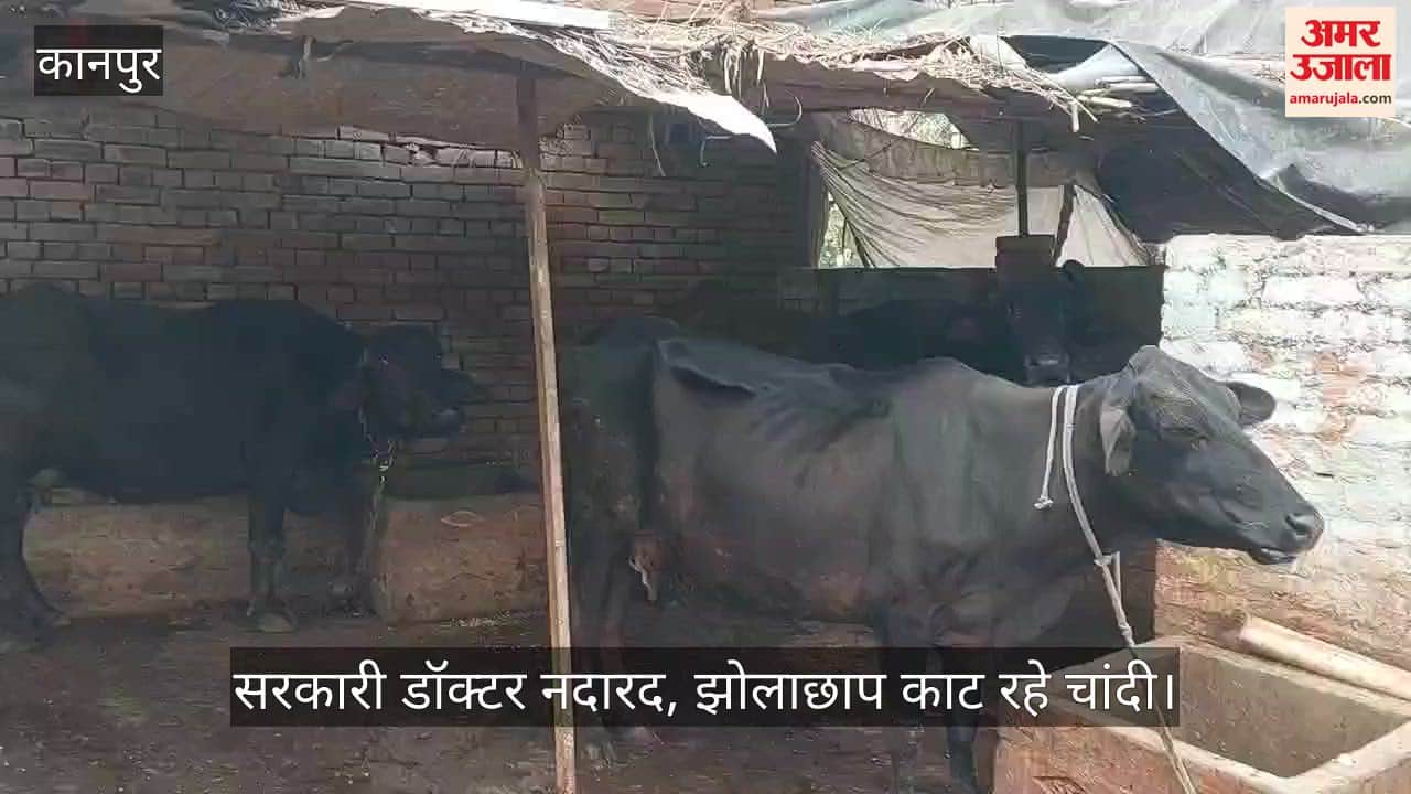 कानपुर: खदरी गांव में खुरपका का कोहराम, दो दर्जन मवेशियों की मौत, आधा सैकड़ा अभी भी चपेट में