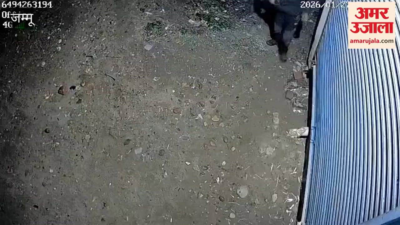 Unknown thieves stole a car and Rs 5,000 in Vijaypur