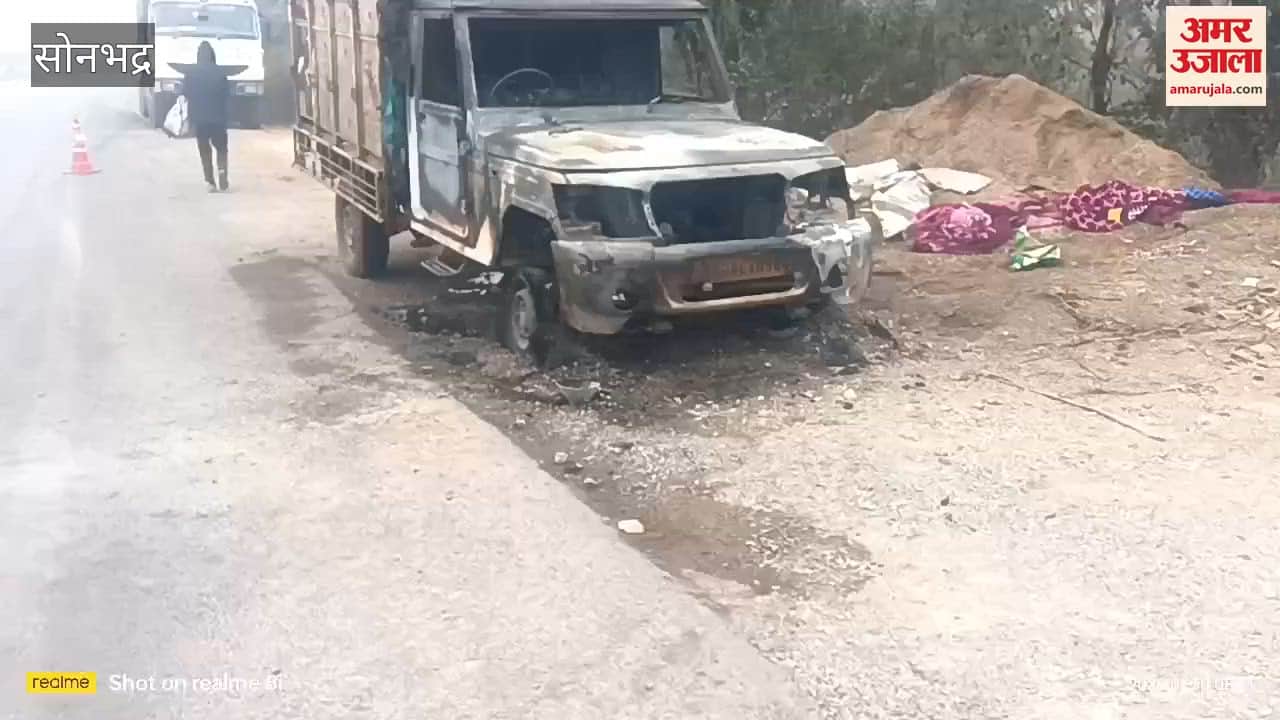 Fire breaks out in pickup truck hundreds of chickens burned