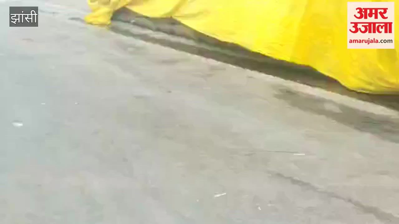 Jhansi: Peanuts stored in Bhojla Mandi got wet due to rain.