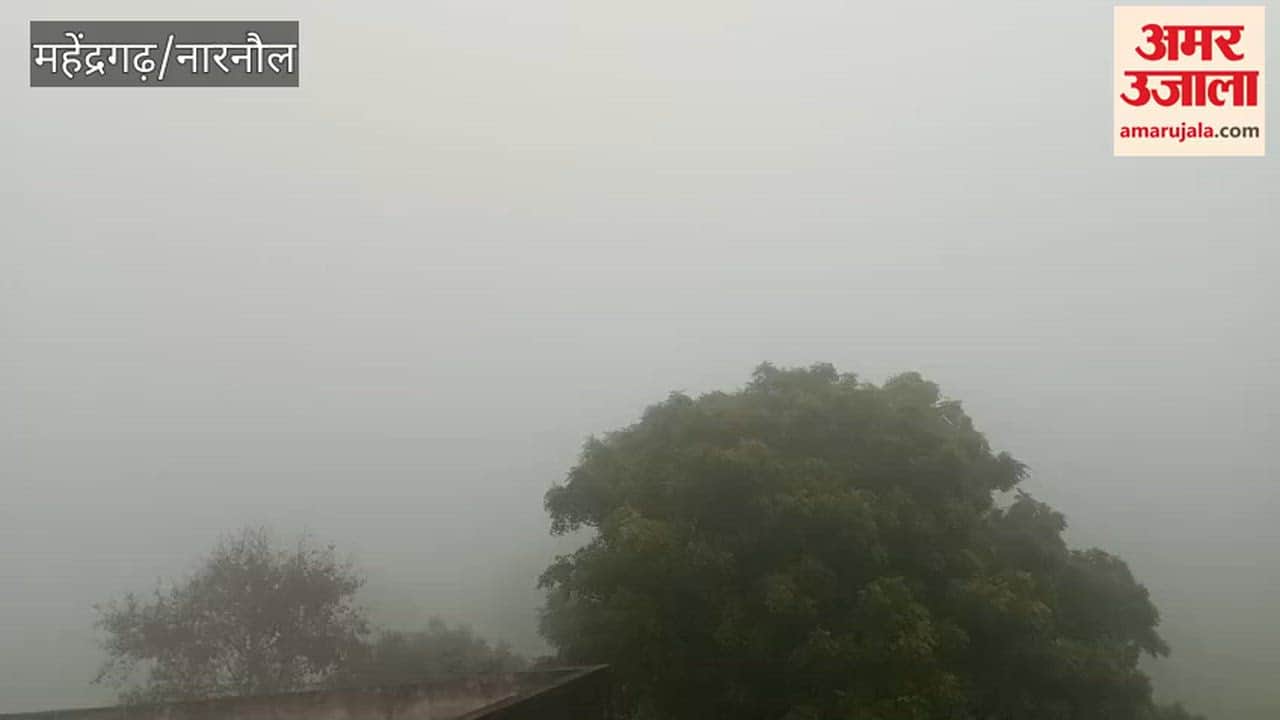 Dense fog enveloped Narnaul, reducing visibility to less than 20 meters