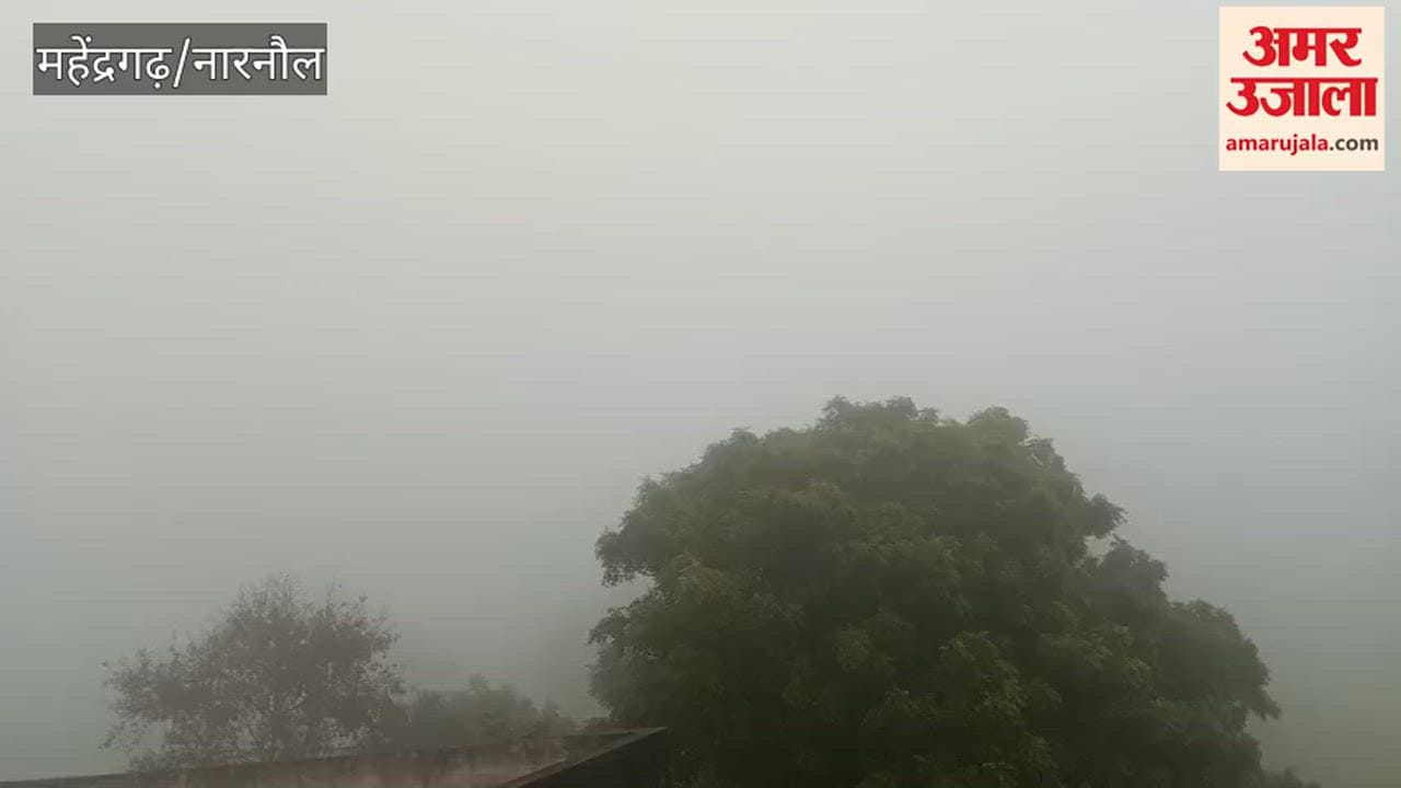 Dense fog enveloped Narnaul, reducing visibility to less than 20 meters