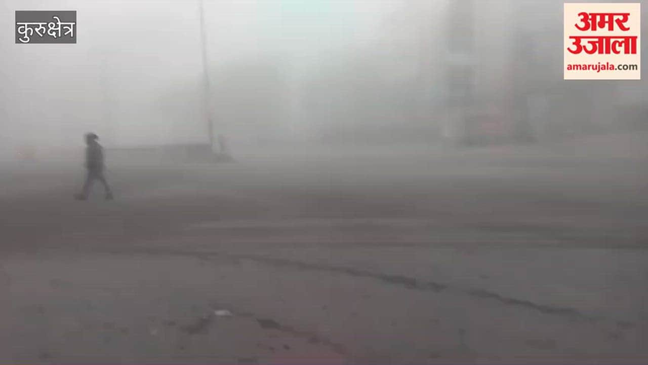 Dense fog blankets Kurukshetra, reducing visibility to less than 10 meters