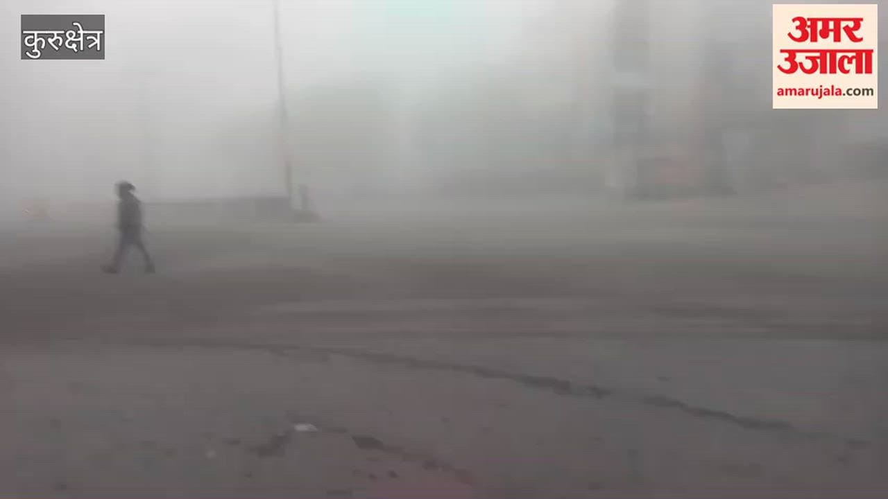 Dense fog blankets Kurukshetra, reducing visibility to less than 10 meters