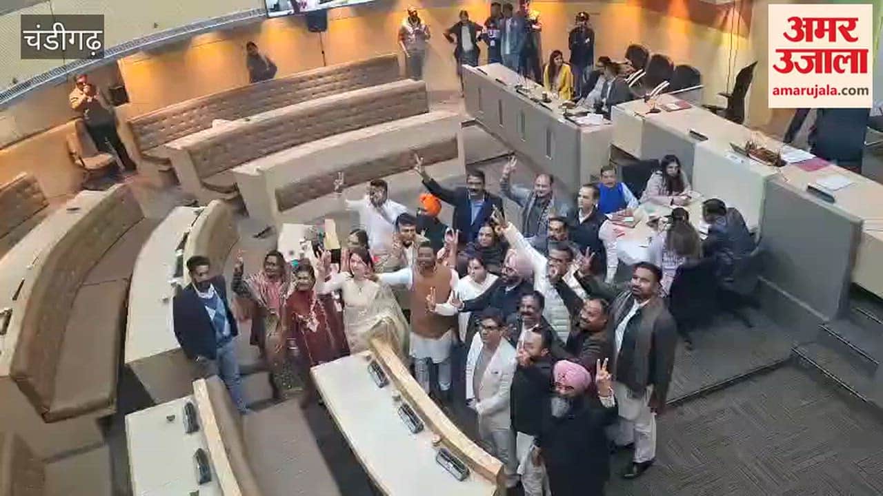 BJP celebrated after winning the mayoral election.