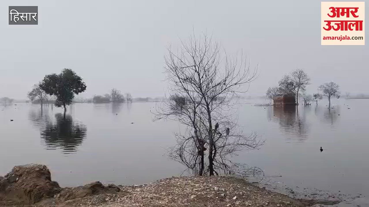 Six months later, the man-made lake in Hisar is still submerging farmers' dreams.