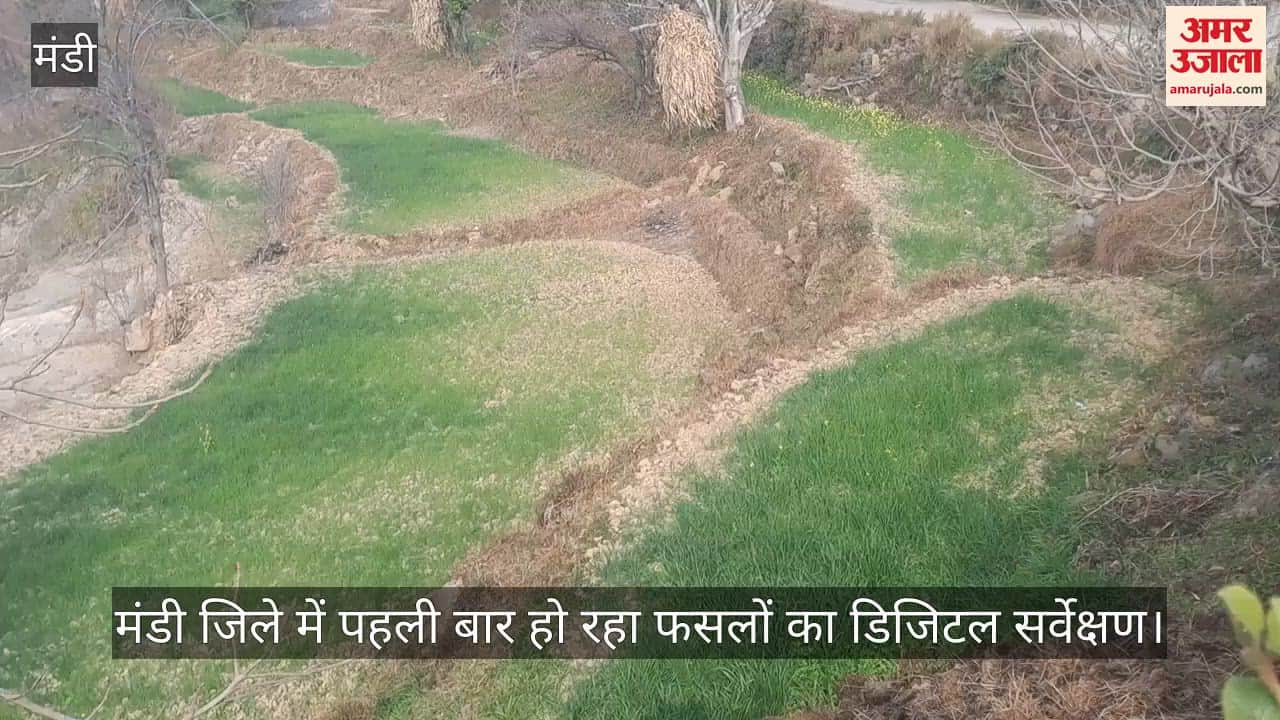 Digital surveying of crops is being done for the first time in Mandi district.