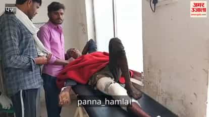 The terror of ferocious wild animals continues unabated in Panna News in hindi