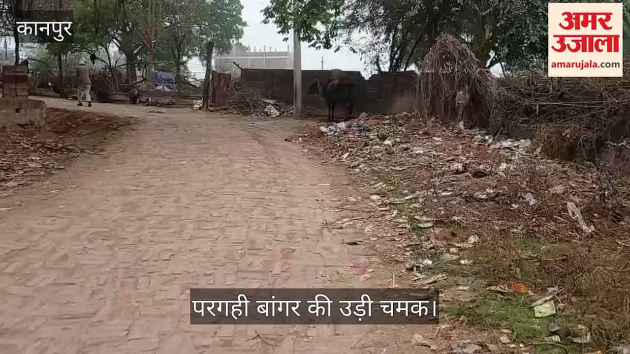 कानपुर: मुख्यमंत्री के जाने के बाद अधिकारियों ने भूला गांव, अब कूड़े के ढेर में तब्दील हुआ परगही बांगर