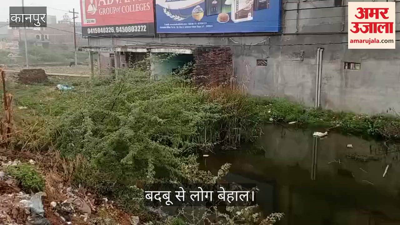 कानपुर: नारामऊ में नाले ने लिया तालाब का रूप, गंदे पानी की निकासी बंद होने से रिहायशी इलाकों में भरा पानी