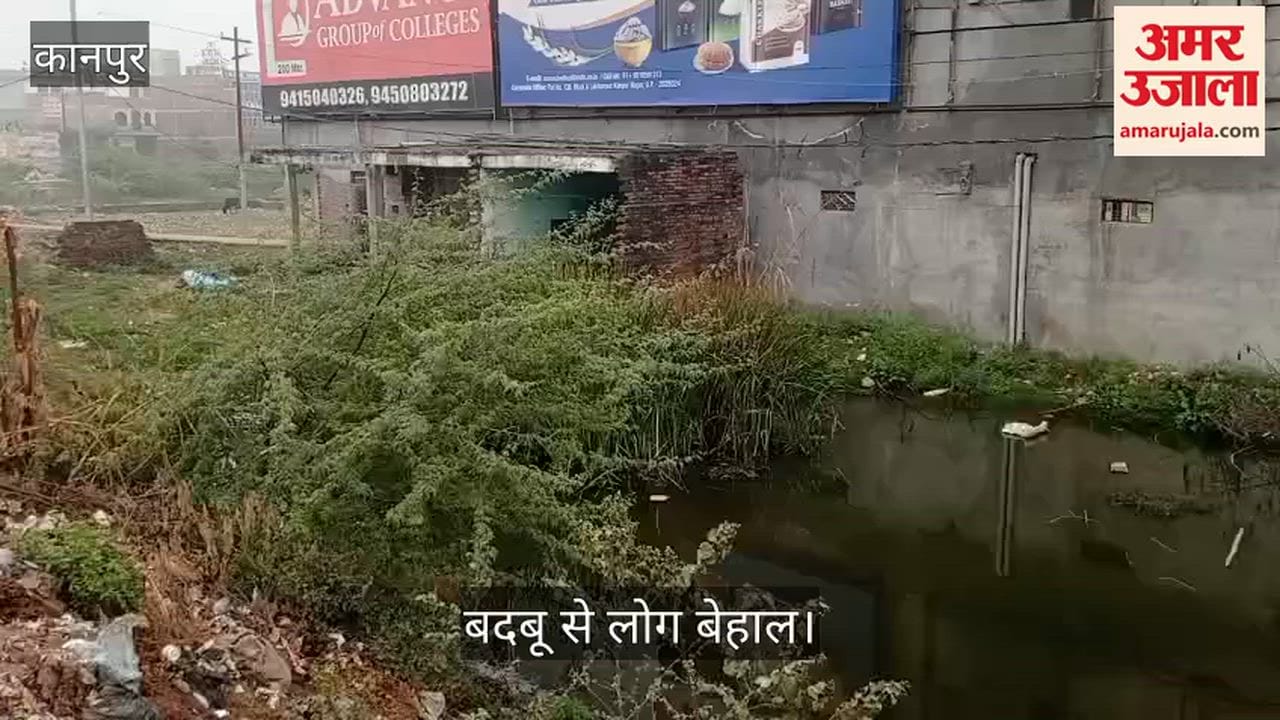 कानपुर: नारामऊ में नाले ने लिया तालाब का रूप, गंदे पानी की निकासी बंद होने से रिहायशी इलाकों में भरा पानी