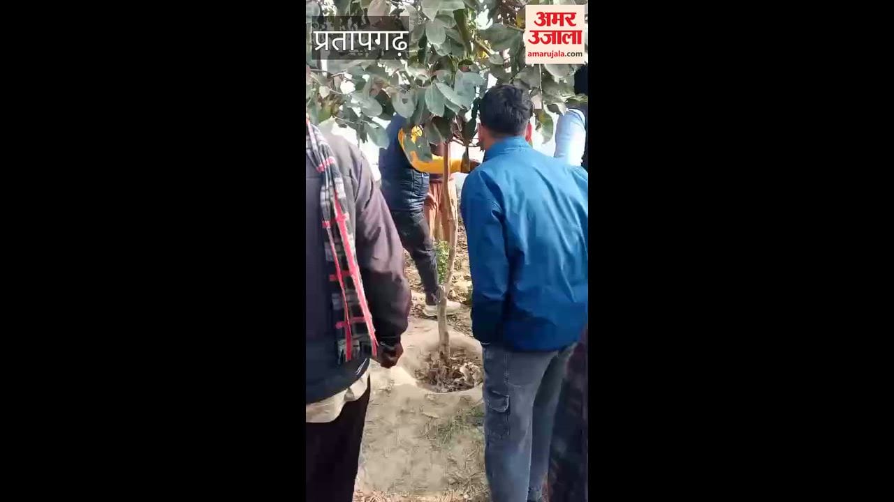 A young woman was found in a dying state inside a closed primary school in Pratapgarh.