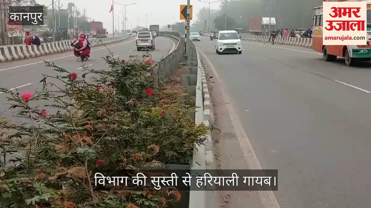 कानपुर-अलीगढ़ हाईवे पर सूखी ग्रीन बेल्ट]  नारामऊ के पास देखरेख बिना मुरझाए पौधे