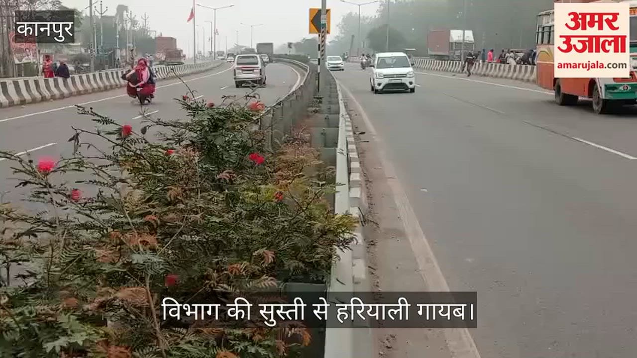 कानपुर-अलीगढ़ हाईवे पर सूखी ग्रीन बेल्ट]  नारामऊ के पास देखरेख बिना मुरझाए पौधे