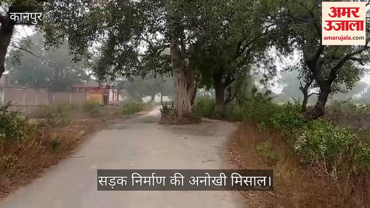 कानपुर: पेम-परगही मार्ग पर बीच सड़क आए पीपल को नहीं काटा, बिना काटे ही बना दी शानदार सड़क