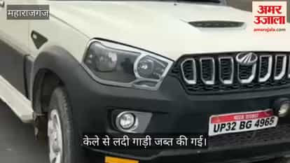 Bananas being smuggled from India to Nepal recovered, 9 trolleys seized