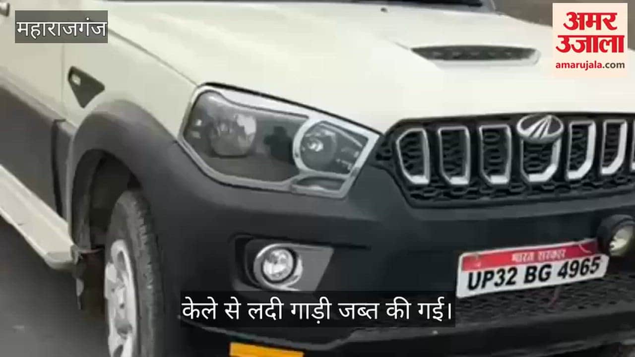 Bananas being smuggled from India to Nepal recovered, 9 trolleys seized