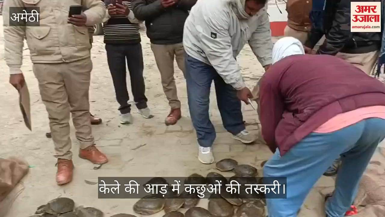 अमेठी में केले की आड़ में कछुओं की तस्करी, तीन तस्कर गिरफ्तार