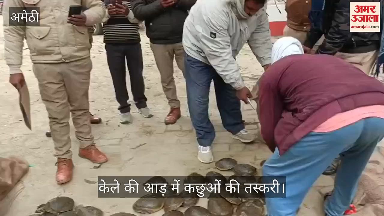 अमेठी में केले की आड़ में कछुओं की तस्करी, तीन तस्कर गिरफ्तार