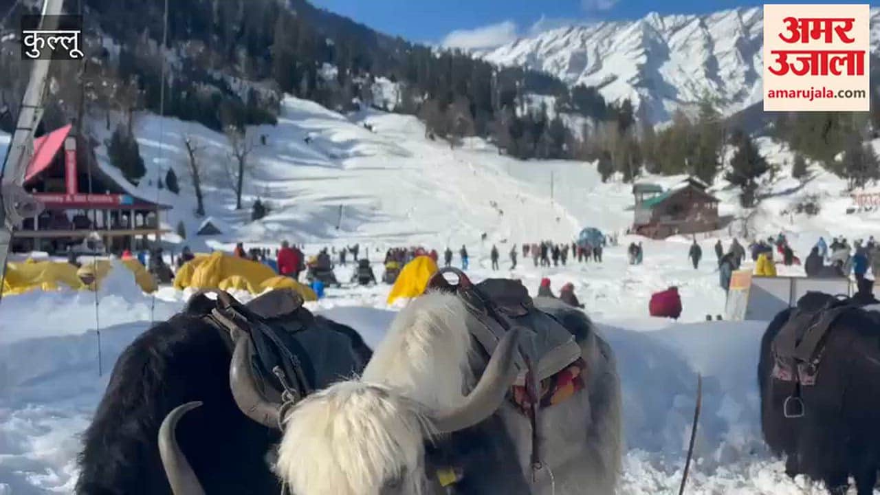 Manali Fun in the snow from Manali to Solang Nala, with snow points created at various locations tourists were thrilled