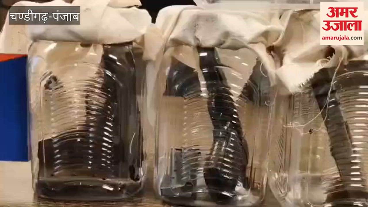 Two arms smugglers arrested in Firozpur