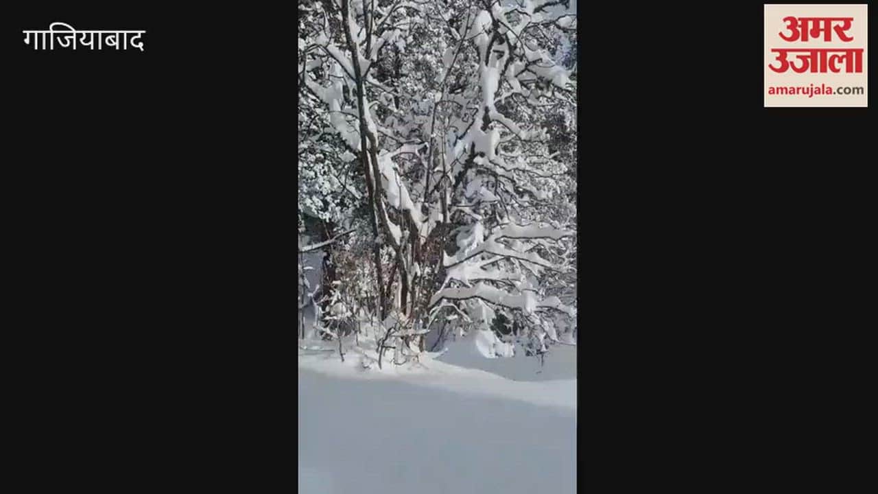 5 member team from Muradnagar hoisted tricolour flag on 12500-feet-high Dayara Bugyal mountain