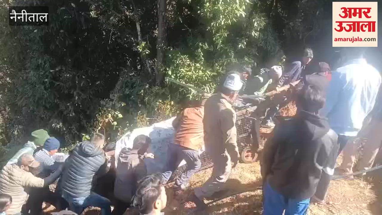 Leopard captured in Dhari forest, sent to rescue centre by forest department