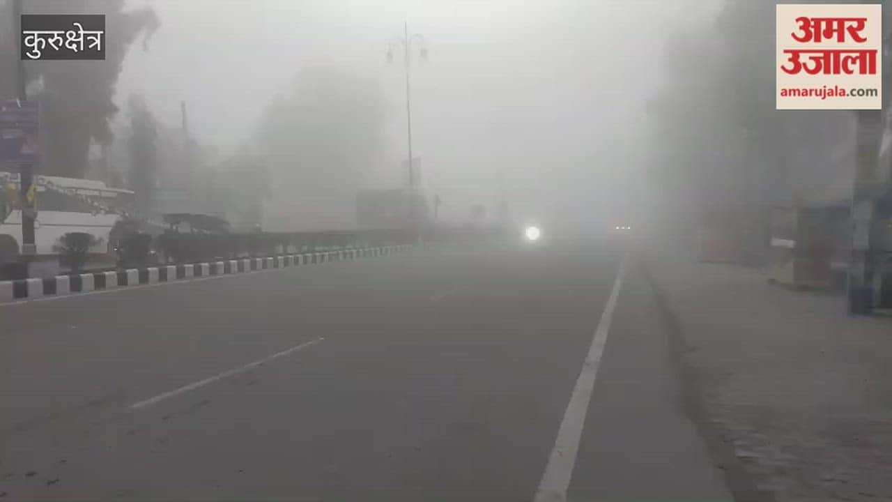 Dense fog blankets Kurukshetra, visibility is zero degrees