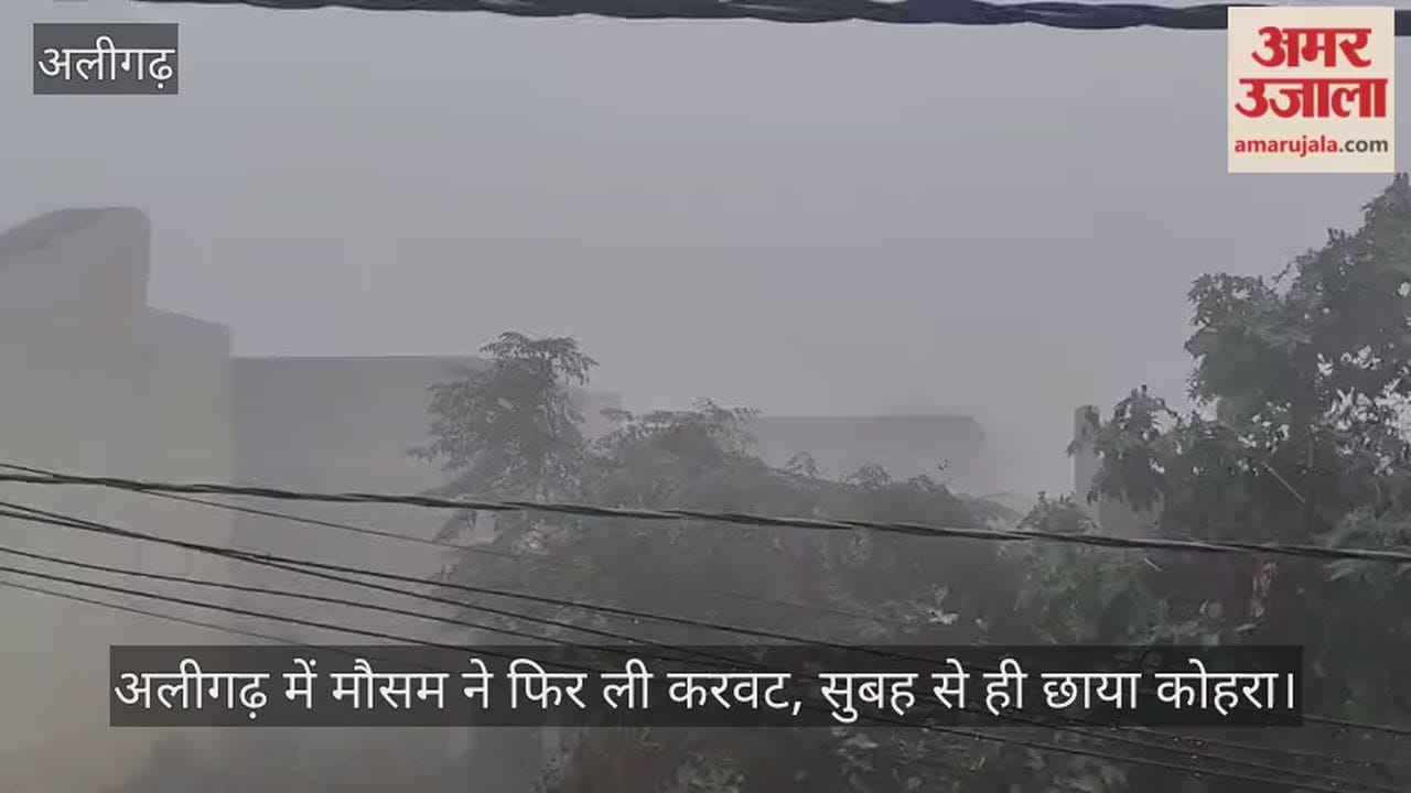 अलीगढ़ में मौसम ने फिर ली करवट, सुबह से ही छाया कोहरा