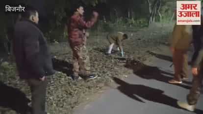 Bijnor: Forest Team Uses Crackers & Air Firing to Stop Elephants from Entering Fields