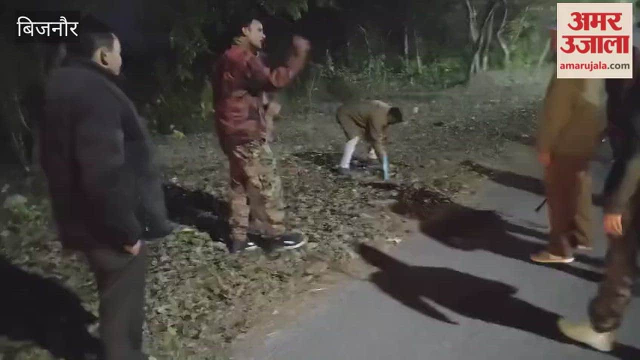 Bijnor: Forest Team Uses Crackers & Air Firing to Stop Elephants from Entering Fields