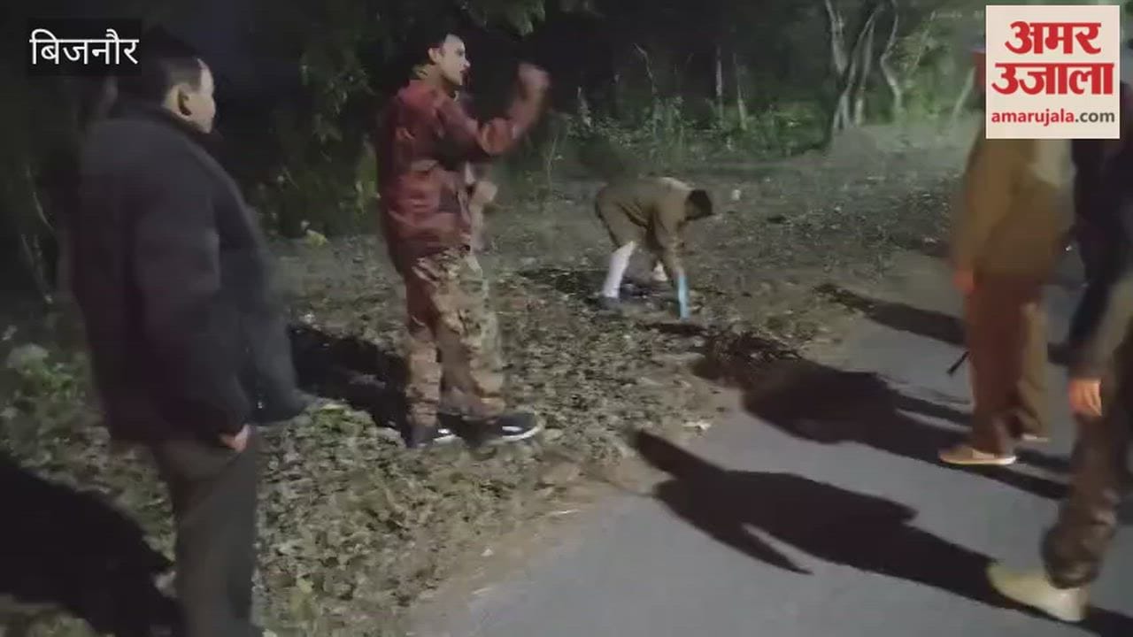 Bijnor: Forest Team Uses Crackers & Air Firing to Stop Elephants from Entering Fields