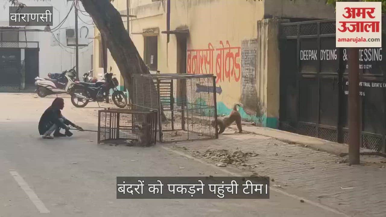 team from Mathura arrived in Kashi to catch monkeys