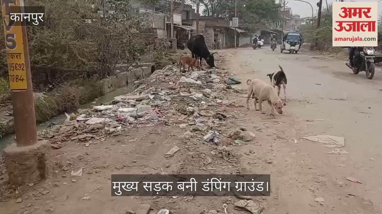 कानपुर: बारासिरोही में मुख्य मार्ग पर लगा गंदगी का अंबार; बदबू से सांस लेना मुहाल, सफाई व्यवस्था फेल