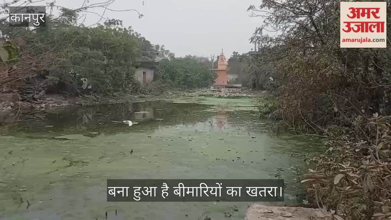 कानपुर: बारासिरोही तलाब को बना दिया कचरा तलाब, भरा है बदबूदार सीवर का पानी
