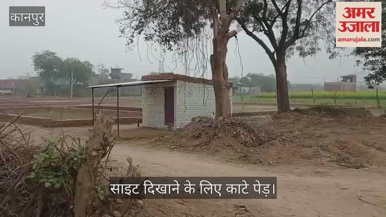 कानपुर: प्लॉट बेचने के लिए हरियाली की बलि; प्रॉपर्टी डीलरों ने उजाड़ दिए वन विभाग के पेड़