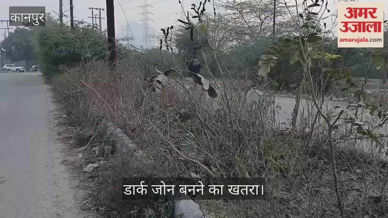 कानपुर: आवास विकास-तीन के ग्रीन बेल्ट में पौधों का अस्तित्व खत्म; झाड़ियों के साम्राज्य ने ढका विकास